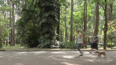 sao paulo Ibirapuera Parkı
