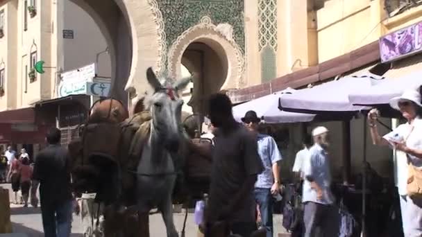 Medina gate i Kasbah — Stockvideo