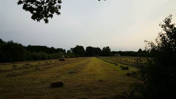 Macchine agricole per la produzione di balle di fieno — Video Stock