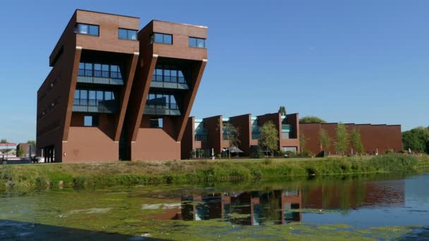 Сучасні будівлі на березі болотного озера — стокове відео