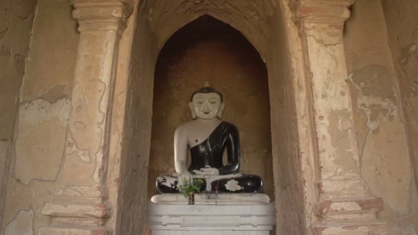 Buddha statue in niche — Stock Video