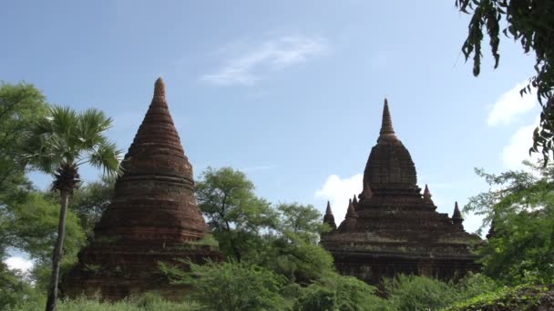 Pagode in zak, myanmar — Stockvideo