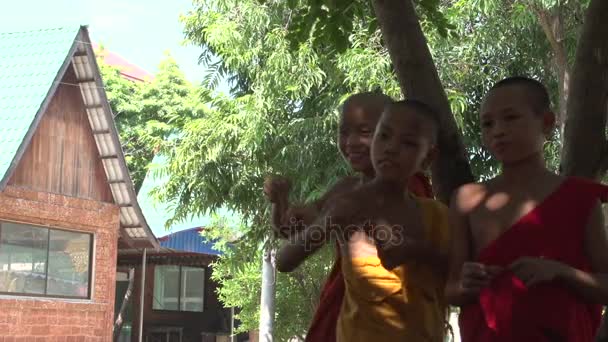 Monjes en la pagoda Shwemokehtaw — Vídeo de stock