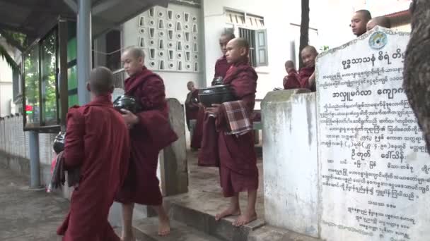 Young Buddhist monks on streets — Stock Video