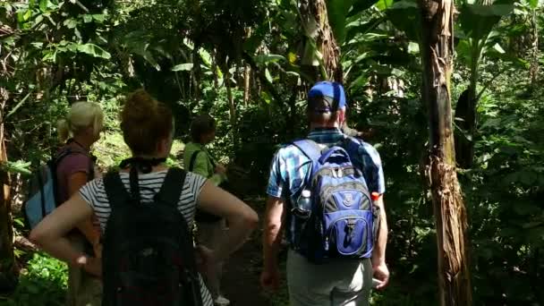 Turistas obtener explicaciones sobre el café — Vídeos de Stock