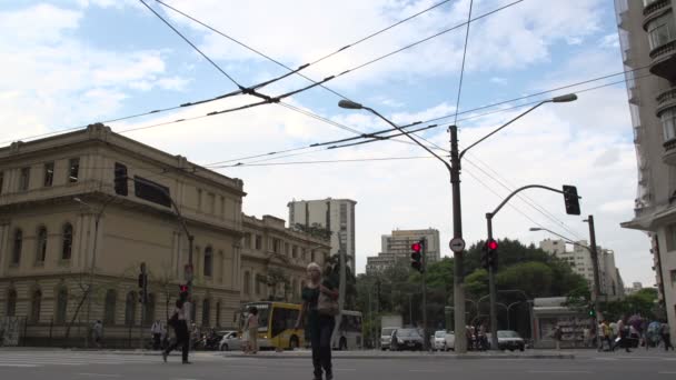 Sao Paulo, panorama del horizonte — Vídeos de Stock