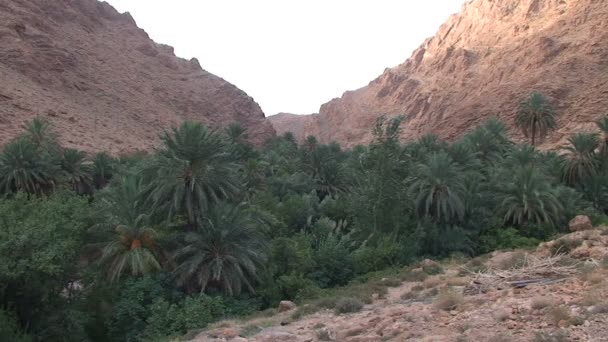 Dades Gorge Dag Tid Footage — Stockvideo