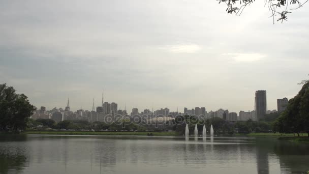 Waterfounta no parque de Ibirapuera — Vídeo de Stock