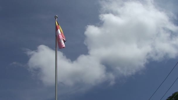 Pathein, ondeó bandera budista — Vídeo de stock