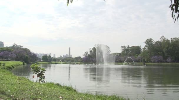 Wasserfontäne im ibirapuera Park — Stockvideo
