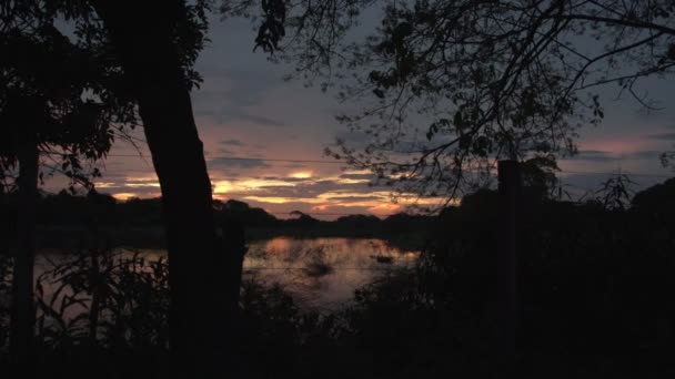 Pantanal Západ Slunce Mokřady Pantanal — Stock video