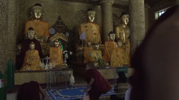Mensen bidden tot boeddhabeelden — Stockvideo