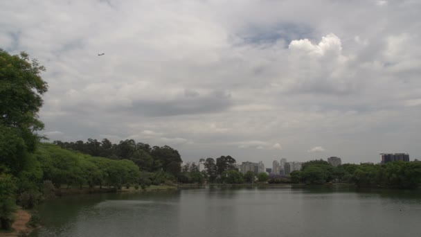 Sao Paulo, Ibirapuera park skyline — Stock Video