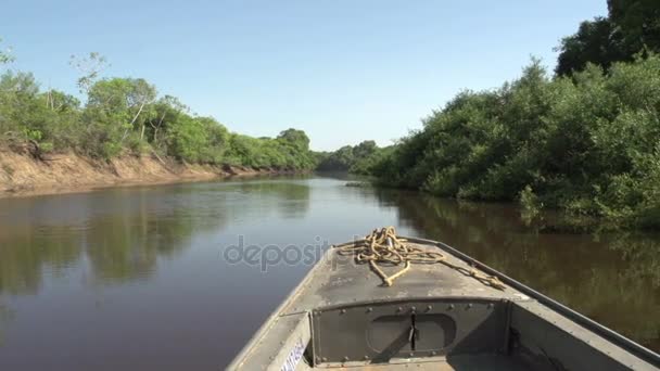 Pantanal, Nehri üzerinde tekne — Stok video