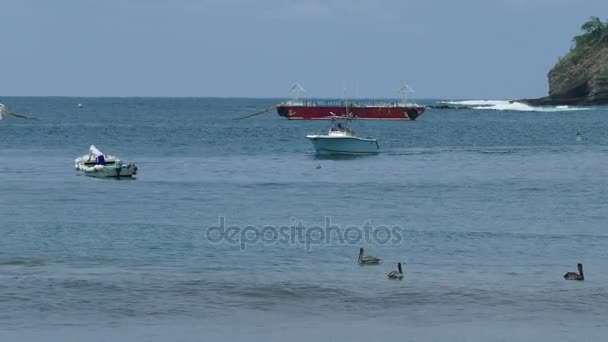 Motorový člun a pelikánů v Tichém oceánu — Stock video