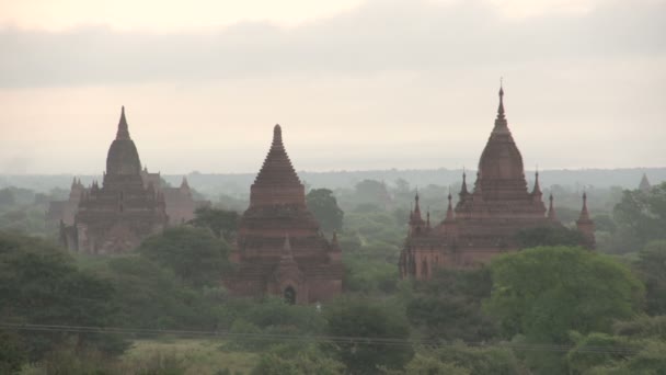 Pagodes in de mist, myanmar — Stockvideo
