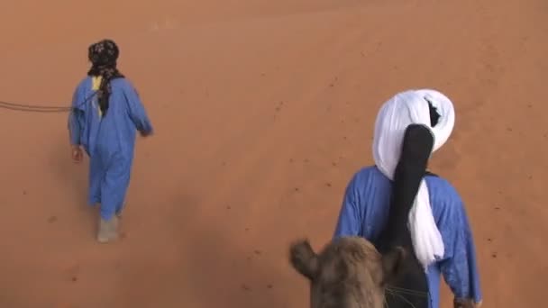 サハラ砂漠でラクダに乗る, — ストック動画