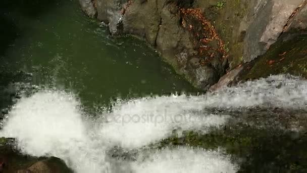 Vue de la cascade dans la jungle — Video