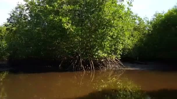 Reserva Natural Isla Juan Venado — Vídeo de stock