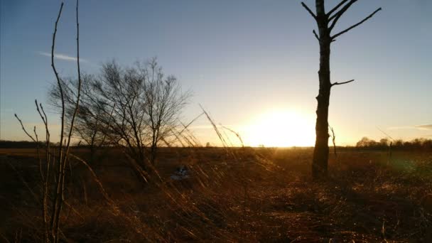 Pôr do sol em Wierdenseveld — Vídeo de Stock