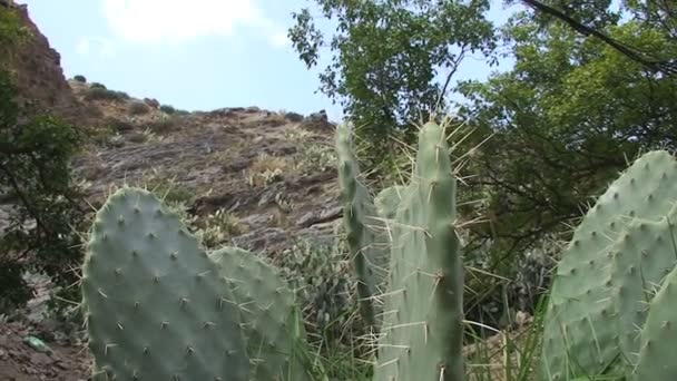 Dades Gorge Giorno Tempo Filmato — Video Stock