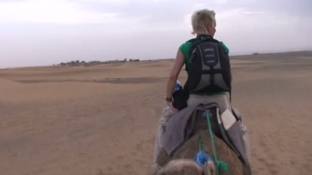 在撒哈拉沙漠骑着骆驼 — 图库视频影像