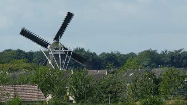 Holländsk väderkvarn i liten stad — Stockvideo