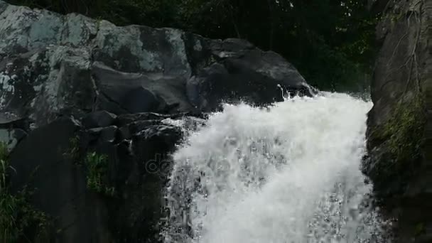 Vista de la cascada en la selva — Vídeo de stock