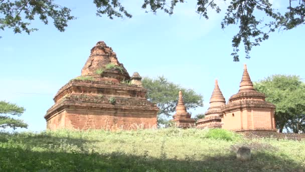 Pagodas and temple in Bagan — Stock Video