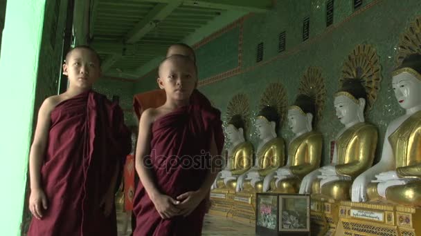 Jóvenes monjes budistas en las calles — Vídeo de stock