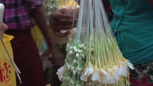 Yangon, het aanbieden van bloemen — Stockvideo