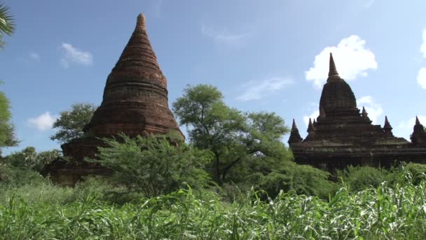 Pagode in zak, myanmar — Stockvideo