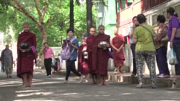 Fiatal buddhista szerzetesek utcán — Stock videók