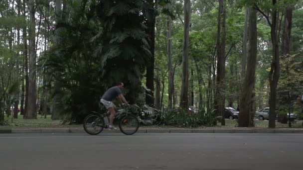 Pessoas em, Parque Ibirapuera — Vídeo de Stock