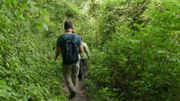 Turisti che camminano nella giungla — Video Stock