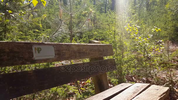 Parc national de Nijverdal — Video