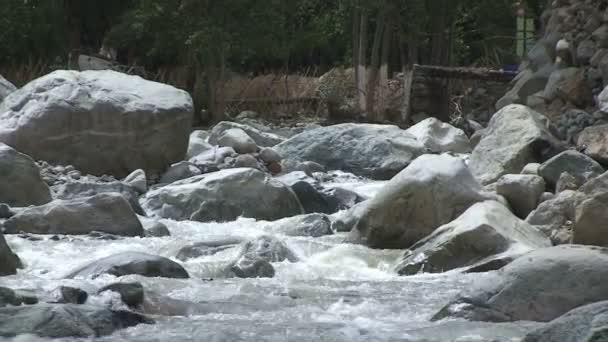 Hermoso río Ourika — Vídeo de stock