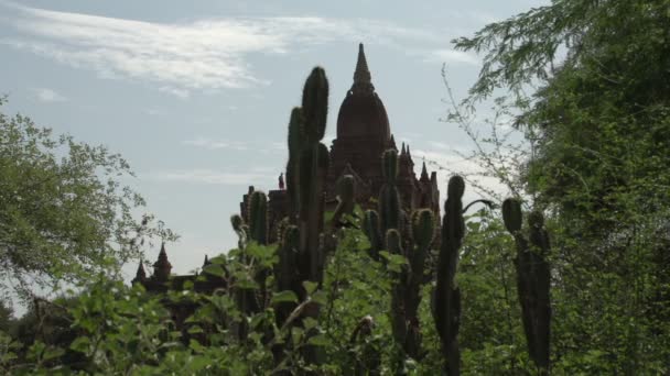 Büyük tapınak kompleksi, myanmar — Stok video
