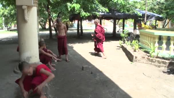 Mnisi Shwemokehtaw Pagoda — Wideo stockowe