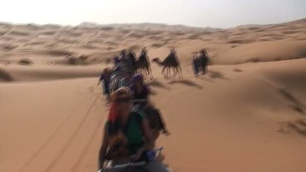 Paseo en camello en Sahara , — Vídeo de stock