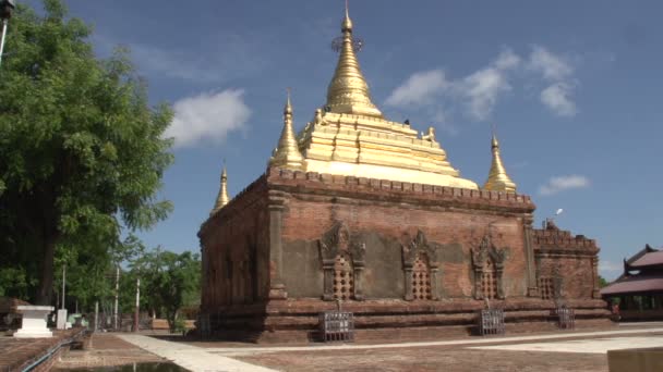 Złota pagoda w mieście Bagan — Wideo stockowe