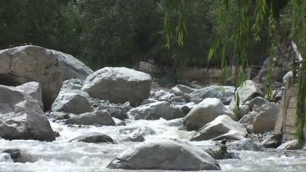 Hermoso río Ourika — Vídeo de stock