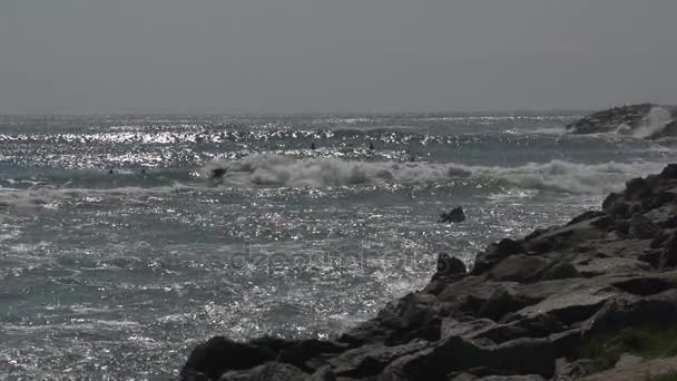 Niesamowite Laguna Beach — Wideo stockowe