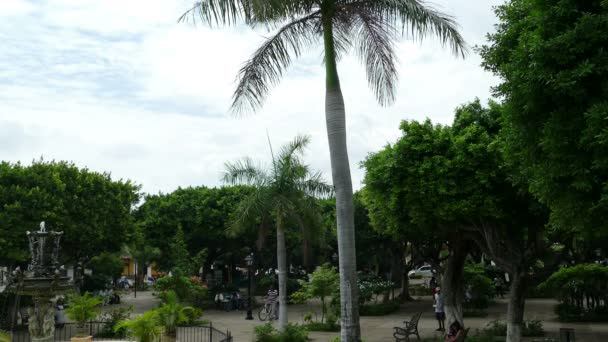 Granada, Nicaragua-székesegyház — Stock videók