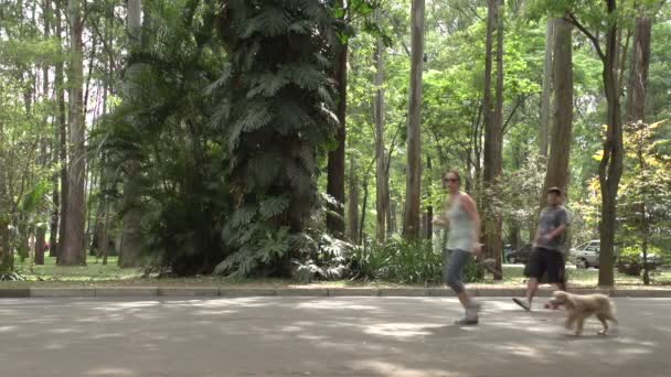 San Paolo, Parco Ibirapuera — Video Stock