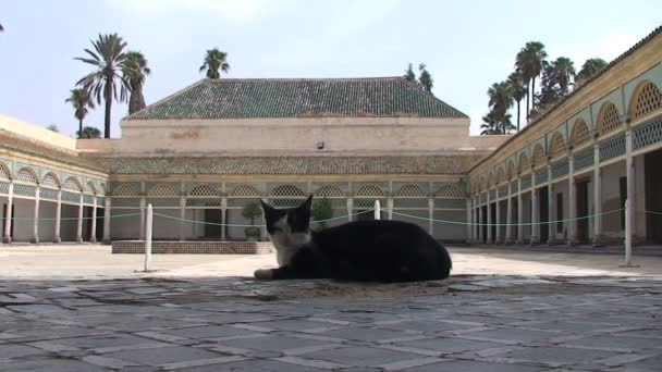 Bahia Palace, Marrakech — 图库视频影像