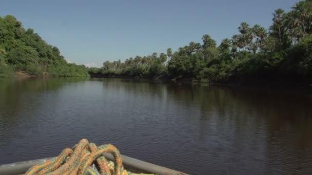 Pantanal, boating on river — Stock Video