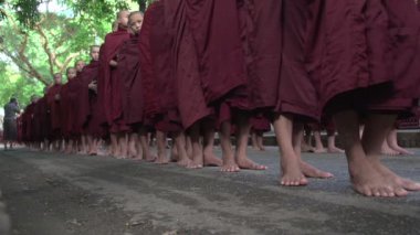 Genç Budist rahipler sokaklarda
