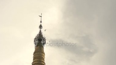 Shwemokehtaw Pagoda üzerinde uçan güvercinler