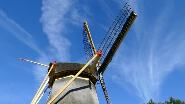 Holländische Windmühle auf kleinem Hügel — Stockvideo